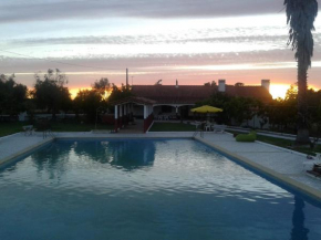 Monte da Vinha
